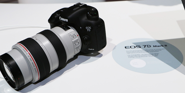 P_01_Canon7Dm2