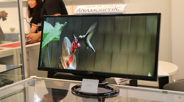 P_02_SLRMagic AnamoDemo