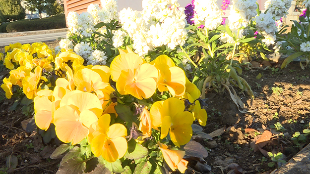 OV_sony_X200_01h50m21s123-S