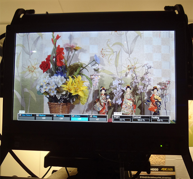 150417_4K_12inch_monitor