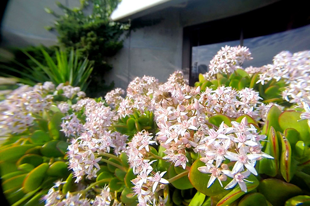 150818_GoProMicro_distotion