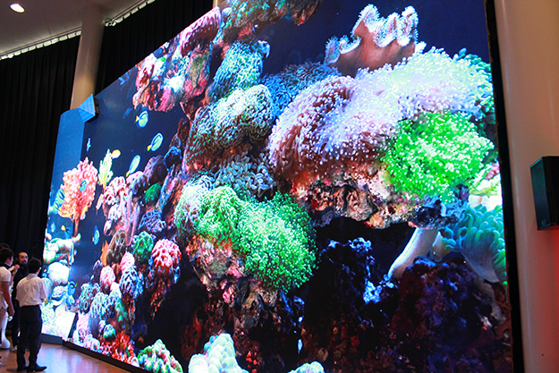 150827_TAKENAKA_4795