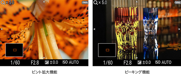 160121_y_RX1RM2_expansion