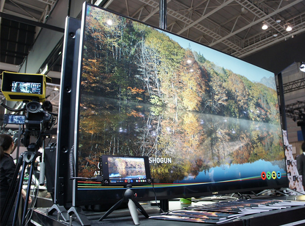 CP2016_GINICHI_01394