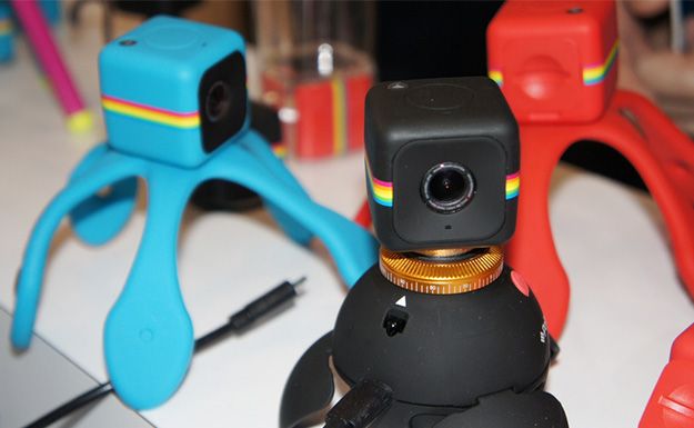 CP2016_Polaroid_00875