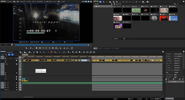 Edius_EGA_01interface