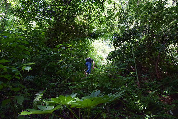 tsuchimochi101_13_03