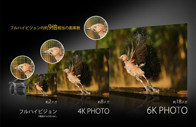 160921_panasonic_gh5_6kphoto