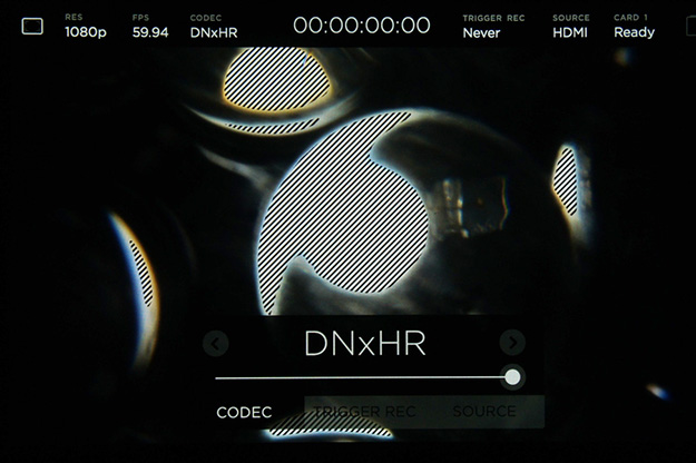 ogrv_17_bmd_va4k_dsc07286