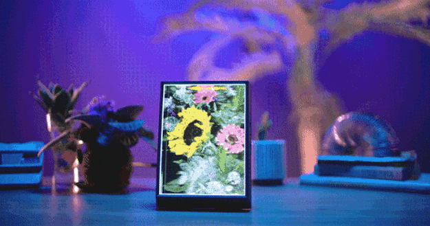 Looking Glass Factory、パーソナルホログラフディスプレイ「Looking