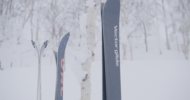 DZOfilmPictorZoom説明カット