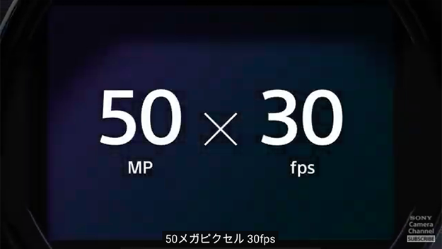 ソニーα1サブ写真