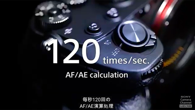 ソニーα1サブ写真