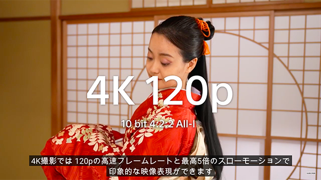 ソニーα1サブ写真