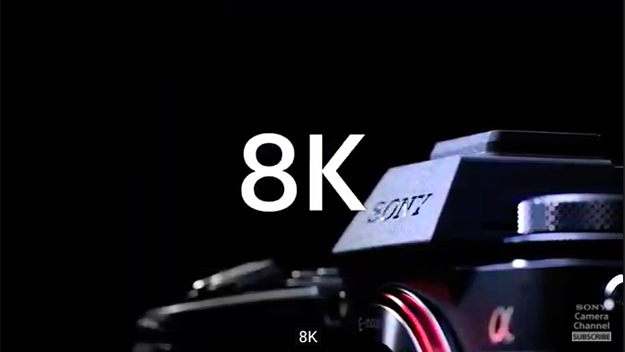 ソニーα1サブ写真