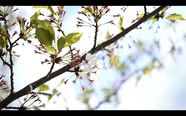シグマオンライン発表会説明写真