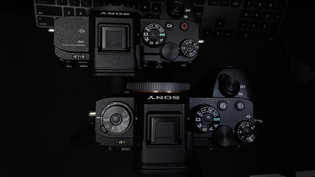 レビューα1説明写真