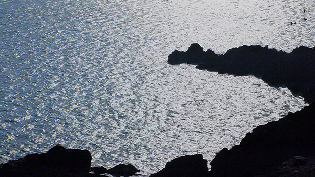 ライフスタイルマガジンBRUTUS