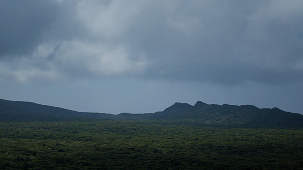 ライフスタイルマガジンBRUTUS