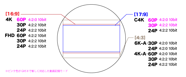 LUMIXGH5II説明画像