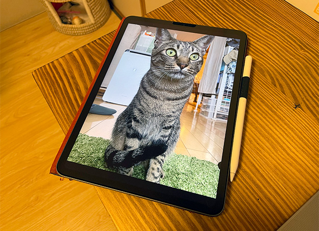 ipad