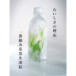 matsumoto_work_itoen_thum