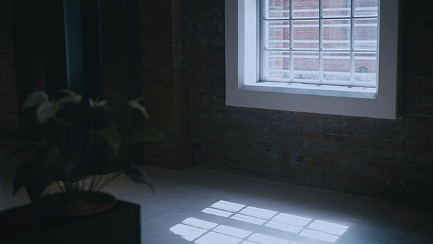 LEICA DG VARIO-SUMMILUX 25-50mm説明写真