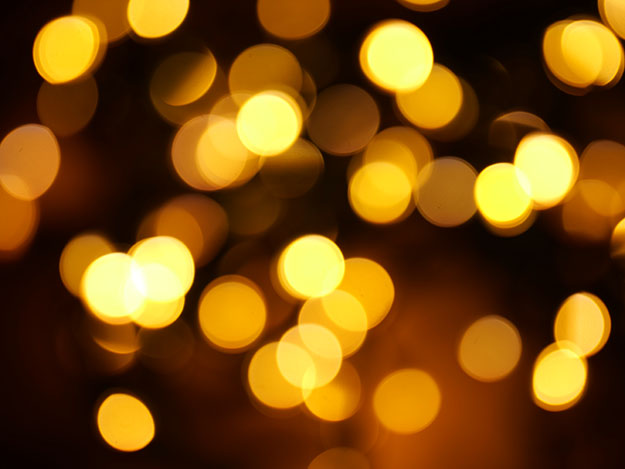 LEICA DG VARIO-SUMMILUX 25-50mm説明写真