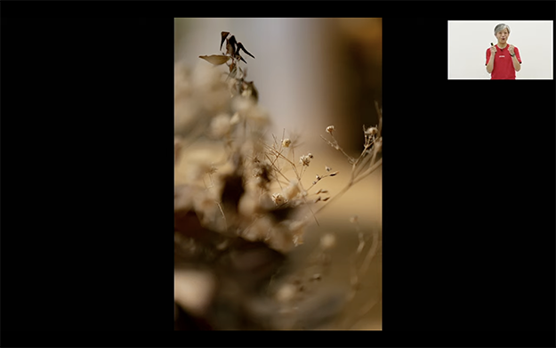 シグマオンラインステーション説明写真