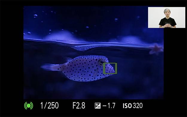 シグマプレゼンテーション18-50mmF2.8DCDN説明写真