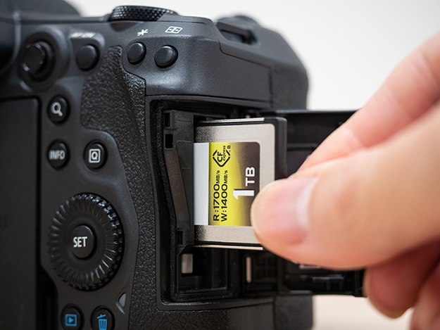 RF5.2mm F2.8 L DUAL FISHEYE写真写真