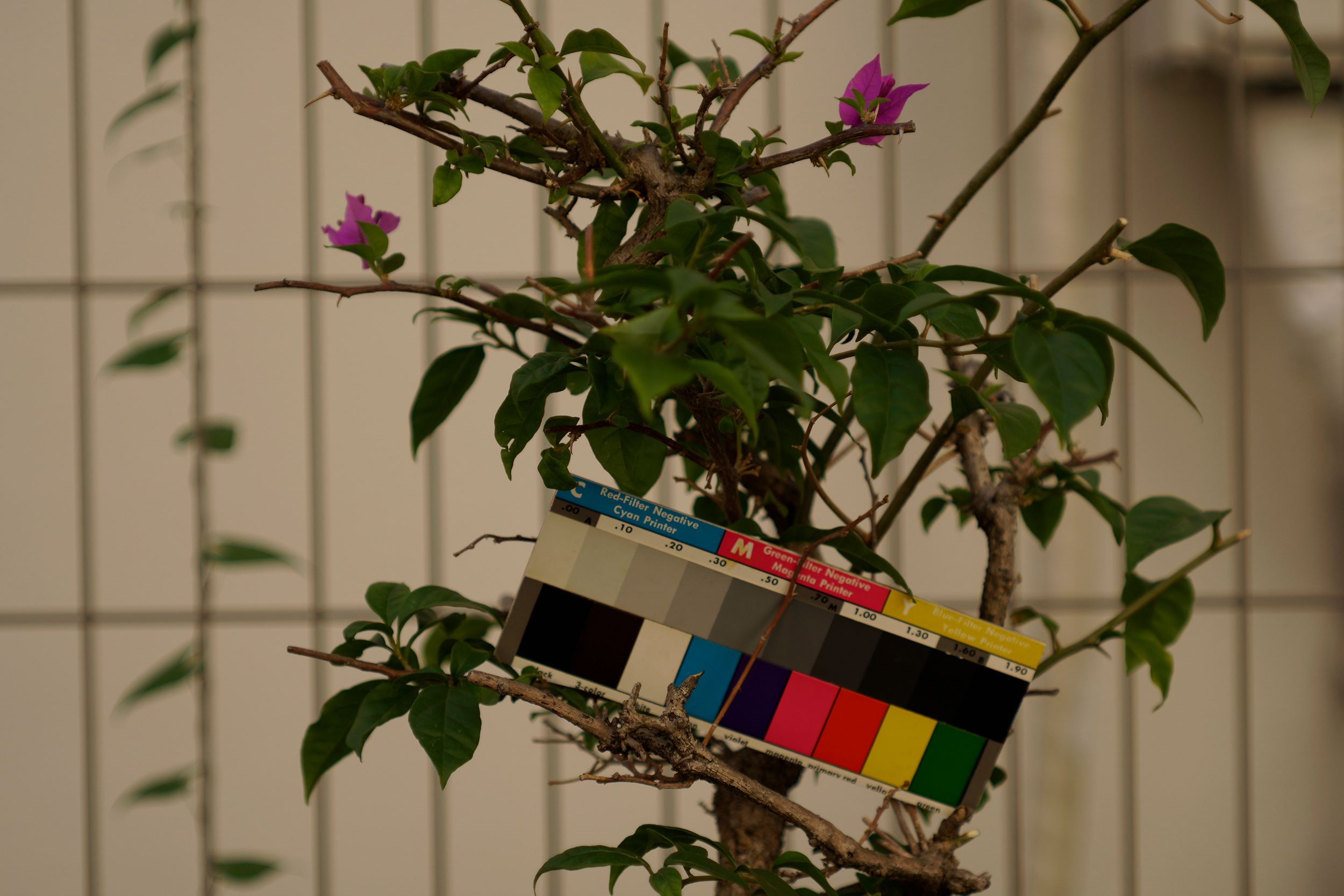 ELニッコール63mm