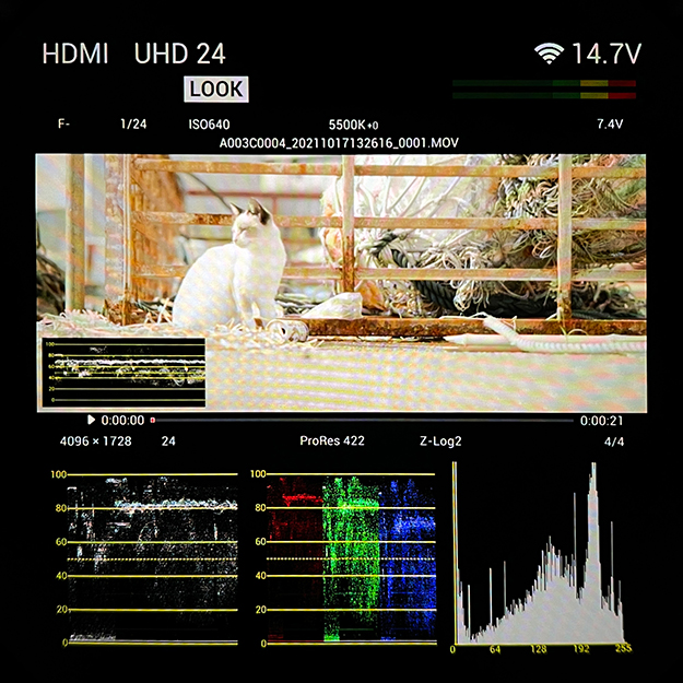 ZCAMファインダー説明写真