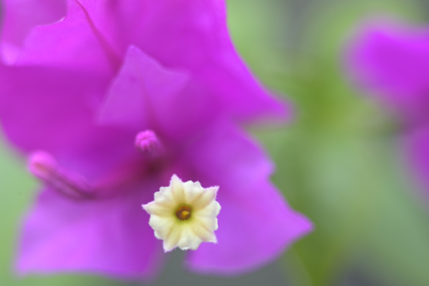 Vol.15 爺の暇つぶし-ベローズ（蛇腹）考-[爺の嫌がらせ]