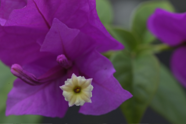 Vol.15 爺の暇つぶし-ベローズ（蛇腹）考-[爺の嫌がらせ]