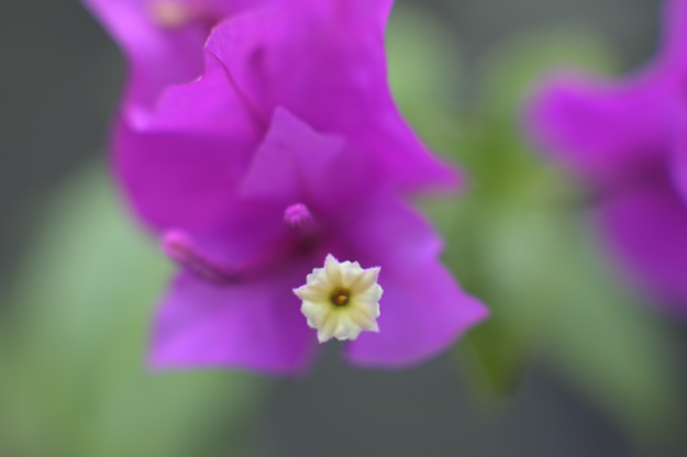 Vol.15 爺の暇つぶし-ベローズ（蛇腹）考-[爺の嫌がらせ]