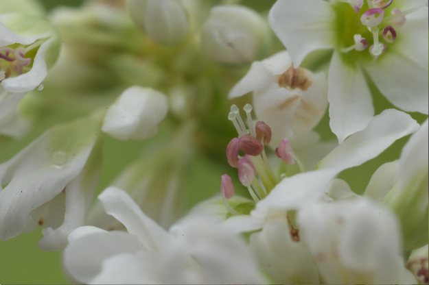 Vol.15 爺の暇つぶし-ベローズ（蛇腹）考-[爺の嫌がらせ]