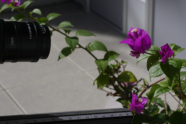 爺の暇つぶし14説明写真