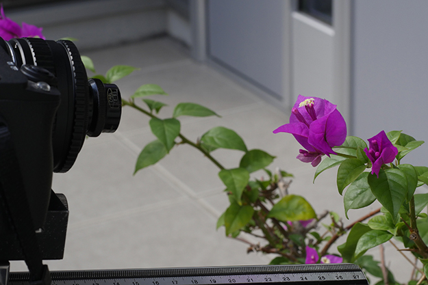 爺の暇つぶし14説明写真