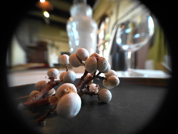 レビューDJI Action 2説明写真