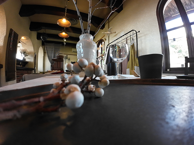 レビューDJI Action 2説明写真