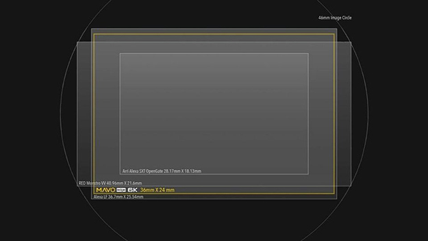 MAVO Edgeニュースメイン画像