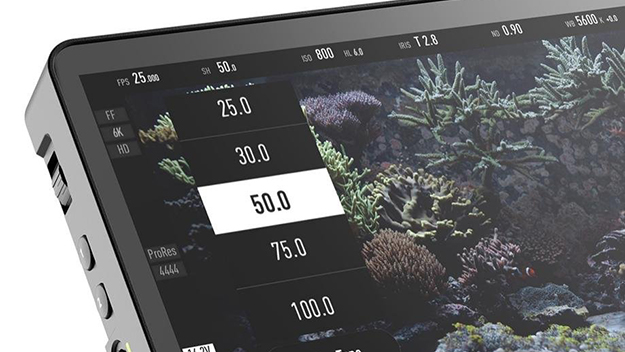 MAVO Edgeニュースメイン画像