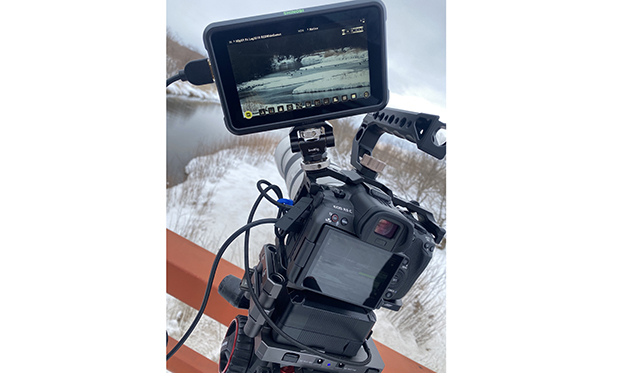 EOS R5 Cタンチョウヅル撮影編説明写真