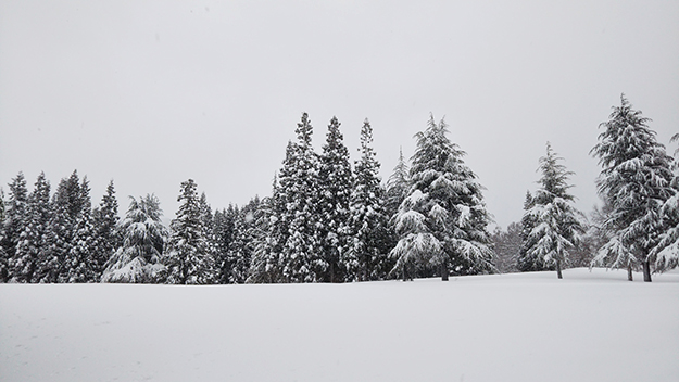 tsutchiomochi101_66_02