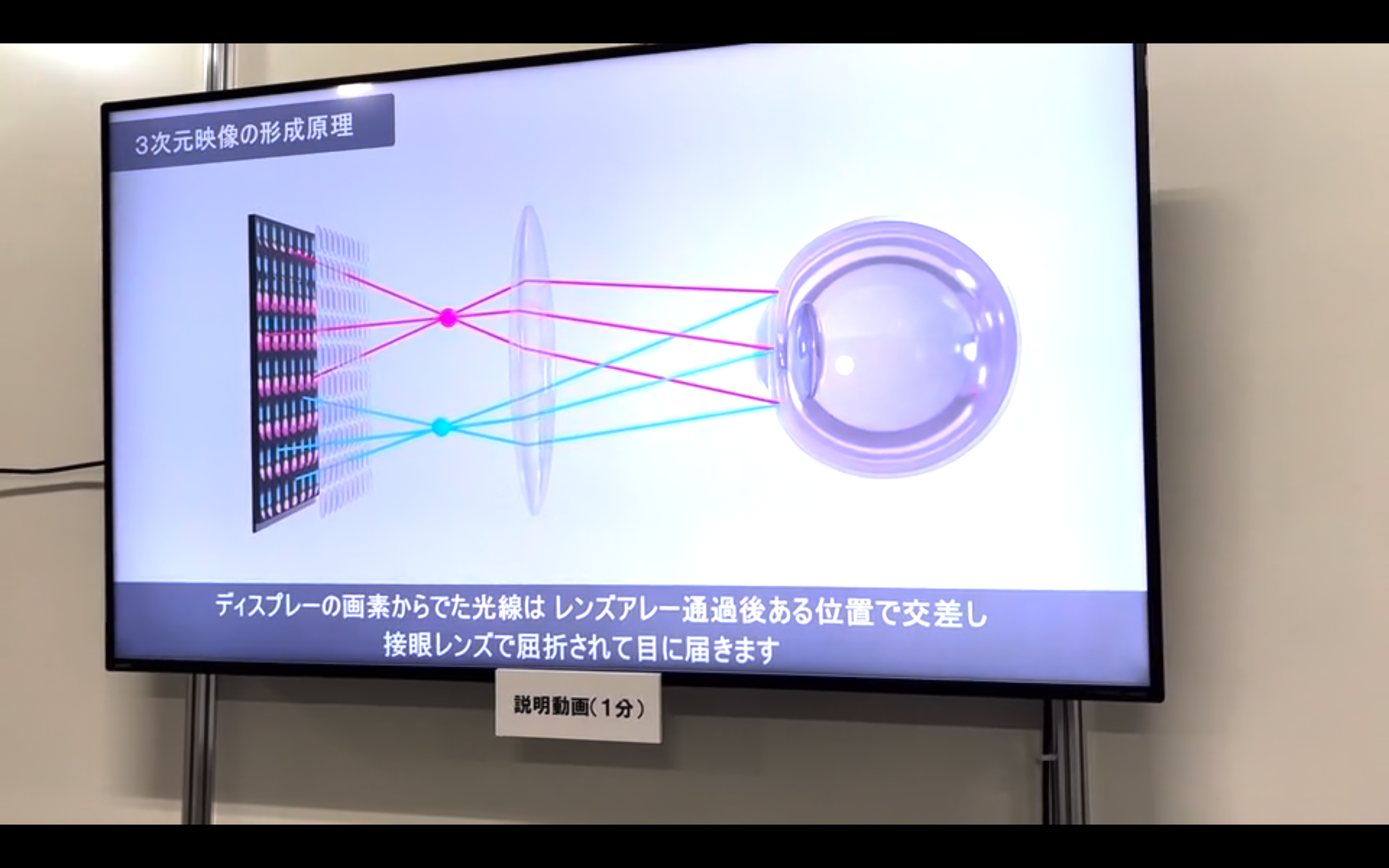 NHK技研「メタスタジオ」説明写真