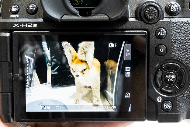 X-H2SレポートVOL01説明写真