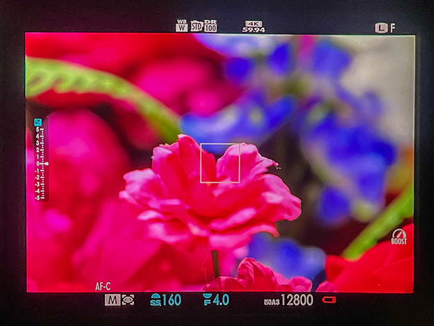 X-H2SレポートVOL01説明写真