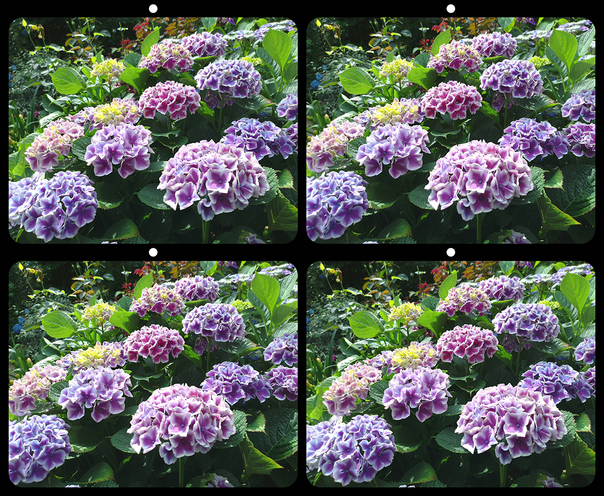 frontline-vrcamera_21_19-b