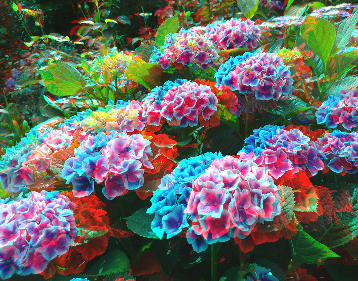 frontline-vrcamera_21_20-b